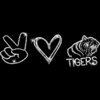 GLT86 SILVER GLITTER Thumbnail